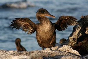 253903-2080719425985-3010568-n_1_orig