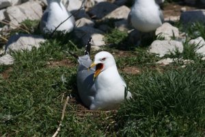 30422-1453763072468-3667965-n_orig